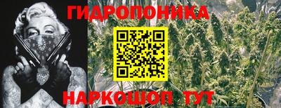 кокс Кулебаки