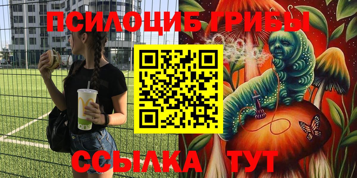 Галлюциногенные грибы Psilocybe Губкинский